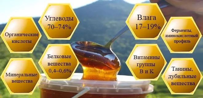 Что такое мёд с точки зрения науки Что такое мёд с точки зрения науки